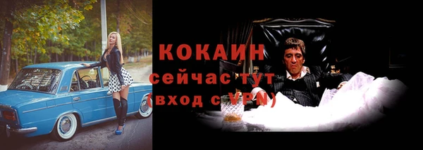 шишки Богородицк