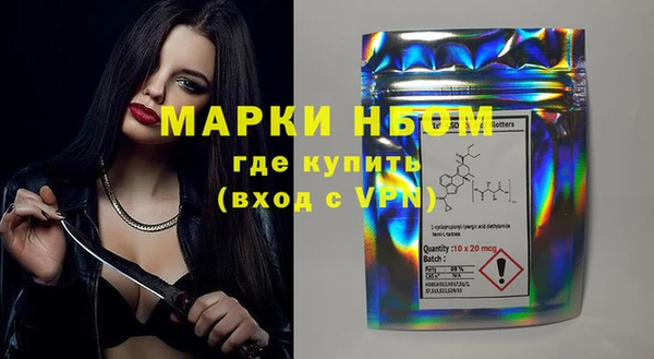 шишки Богородицк