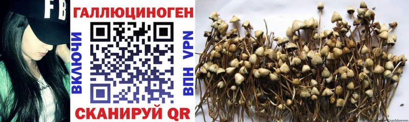 даркнет какой сайт  закладка  Коркино  Псилоцибиновые грибы Cubensis 